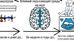 Как наука объясняет наши поступки? // "Биология добра и зла" Роберта Сапольски