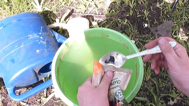 Первая подкормка ТОМАТА на 14-й день после посадки рассады смотреть онлайн