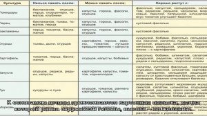 Как сделать новогодний костюм волшебника к Новому Году