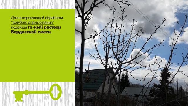 Обработка сада ранней весной  Искореняющее опрыскивание от вредителей и болезней.