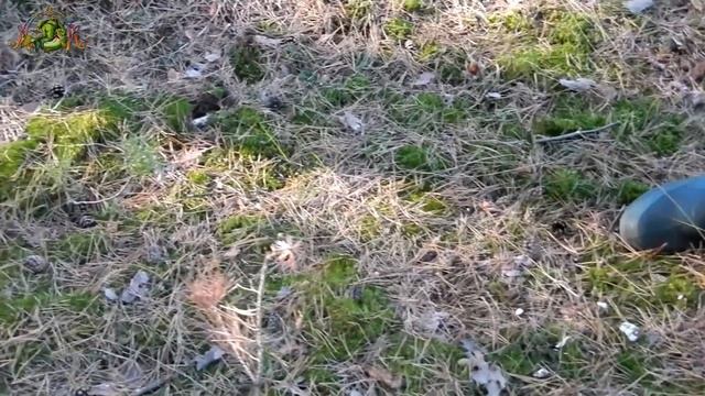 Вечерняя пробежка по БЕЛЫМ ГРИБАМ в ОКТЯБРЕ... смотреть онлайн