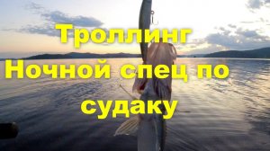 Троллинг. Ночной истребитель судака.