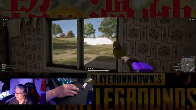 【「超」過疎配信ｗ】まったりPUBG【49インチウルトラワイド】Twitch同時配信 смотреть онлайн