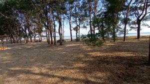 Цимлянское водохранилище2022 лето июнь, на турбазе, хутор Новомаксимовский