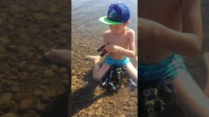Выпуск 2 .Монстр трак какие бывают #машинки #тачки #монстртрак