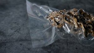 Вакуумный упаковщик HVC-400/2T