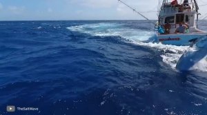 Он Поймал Самую Большую Рыбу в Мире — Мировой Рекорд 2022