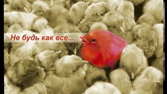 ИСИ факультет ДИЗАЙН.mp4 смотреть онлайн