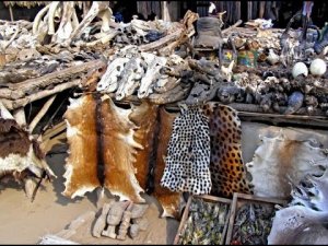 ИЗ РЫНКА ВУДУ И МНОГОЕ ИНОЕ. ВЕДЬМИНА ИЗБА. ИНГА ХОСРОЕВА.mp4