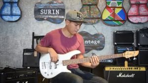 Fernandes FRB Silver