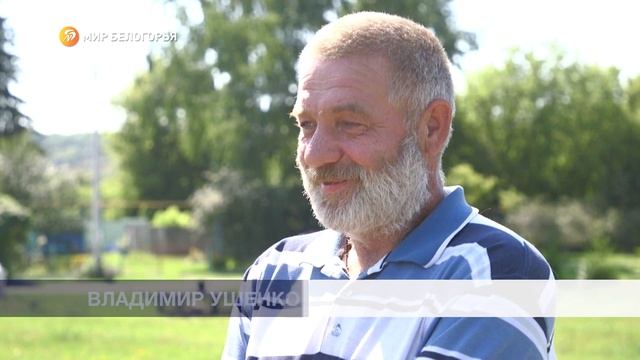 Спасение раненого аиста смотреть онлайн