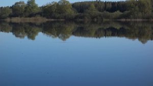 Ловля крупной уклейки на водохранилище