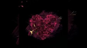 Всё пройдёт девчонка, не грусти