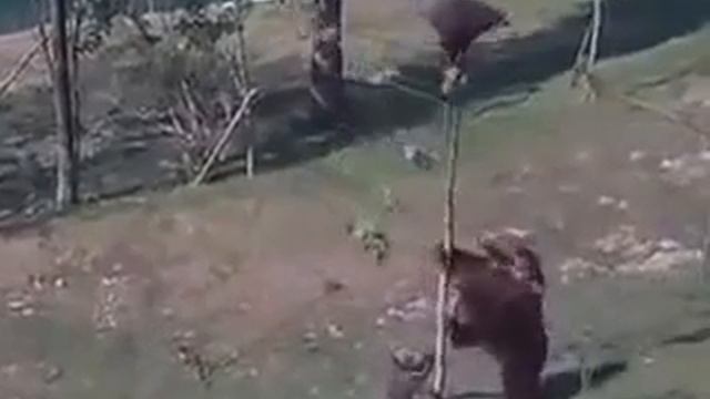 Әсәй ата-әсәләр йыйылышынан ҡайтҡан саҡта смотреть онлайн