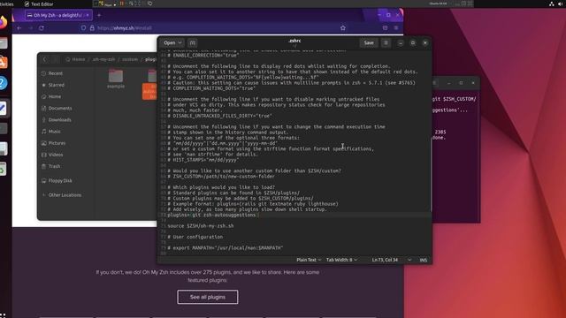 Customizing Linux Terminal with ZSH along with useful plugins ⚡️ смотреть онлайн