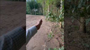 Расчистка участка от подлеска. Лесной мульчер, ротоватор, почвофреза, трамбовка. День работы.