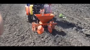 Мини трактор МТМ-10 производит посадку картофеля задней навеской картофелесажалкой