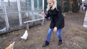 Ловит курицу / Как поймать курицу / семья в деревне