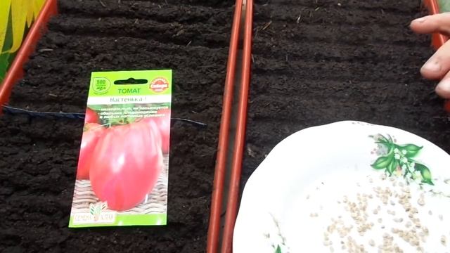 ПОСЕВ САМОГО УРОЖАЙНОГО СИБИРСКОГО ТОМАТА ДЛЯ ОТКРЫТОГО ГРУНТА. Ольга Чернова. смотреть онлайн