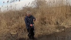 какого  размера  тарань можно брать ? можно ли ловить в канале ? нормы вылова / штрафы