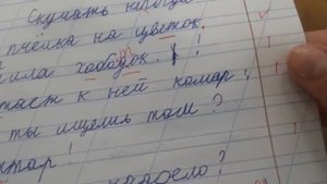 Проверяю рабочие тетради по русскому языку - 3 класс #4