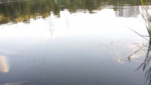 Тенкара для вечерней прогулки перед сном