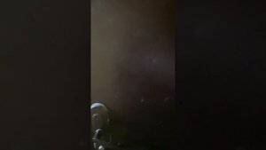 Пикалево, посуточно квартира 6-28-30