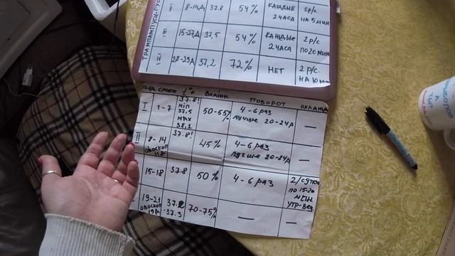 Она справилась? Закладываем гусиные яйца в инкубатор. Рыльце в пушку? Кроватные динозавры. Влог смотреть онлайн