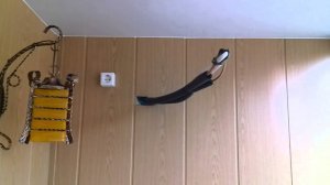 Пример отделки лоджии панелями МДФ.