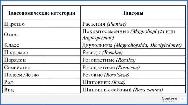 Систематика растений. Бактерии. Часть 1