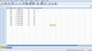 Module 2 Changing your display options in SPSS