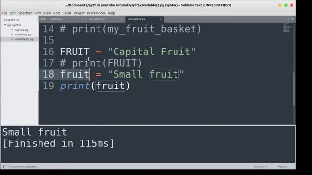 Variables In Python - Hindi/English | Python Tutorial For Beginners | Declare Rules | CodeWithRonny