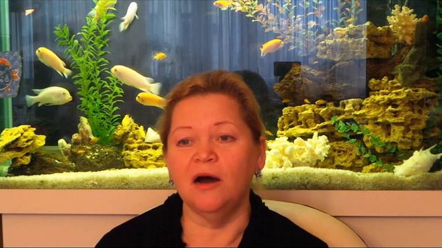 Имя по дате рождения #3 Имя и судьба Т.И.Гужова смотреть онлайн