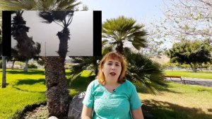 Почему нужно побывать на Канарах?  Все о Канарских островах и Испании. КАНАРЫ!! Остров Гран Канариа