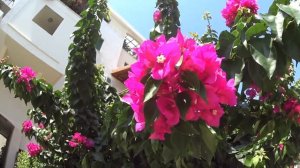 Кипр - обзор острова, его история