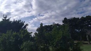 ЗИМА В АЛЕКСАНДРИИ, ЕГИПЕТ/ ДЕКАБРЬ 2019/ ГДЕ КУПИТЬ ГРЕЧКУ В АЛЕКСАНДРИИ?