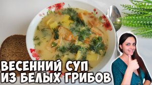 Суп из белых грибов. Ароматное первое блюдо