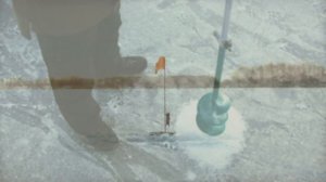 Ловля окуня зимой. Как и где ловить окуня зимой?