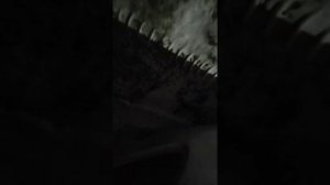 проверка датчиков парктроника