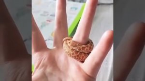 под микроскопом