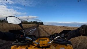 Первый прохват по грязи на Motoland WILD Track X 200 и WELS 800