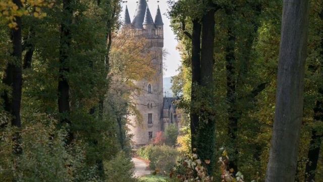 Медитация к раскраске Дары и Таланты смотреть онлайн