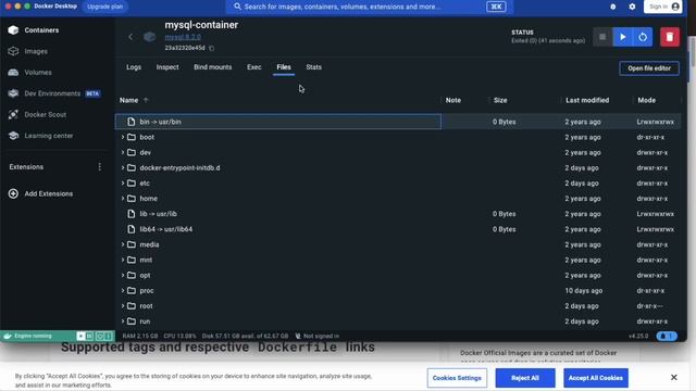 Installing/Using MySQL Database Using Docker/Docker Desktop смотреть онлайн