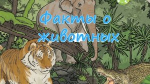 Факты о животных: Тигры | Крокодилы | Косатки | Жирафы | Слоны | Бабочки | Змеи