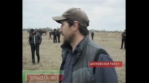В Шелковском районе Чечни прошли скачки Чечня.