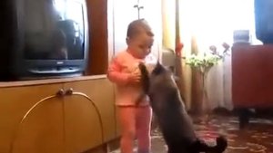 Кошка отбирает своего котенка из рук ребенка