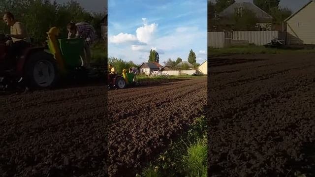 посадка картофеля  картофелесажалкой