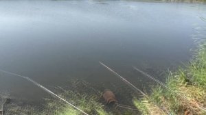 Рыбалка. Ловля карася на перловку с медом и опарыш. My fishing.