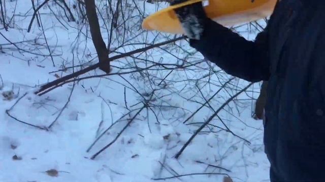 ? Спуск на санках с горы