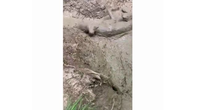 Хорошо прогулялись смотреть онлайн